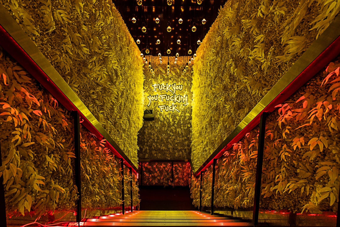 Top Clubs in Osaka Loved by Foreign Tourists