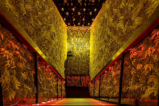 Top Clubs in Osaka Loved by Foreign Tourists